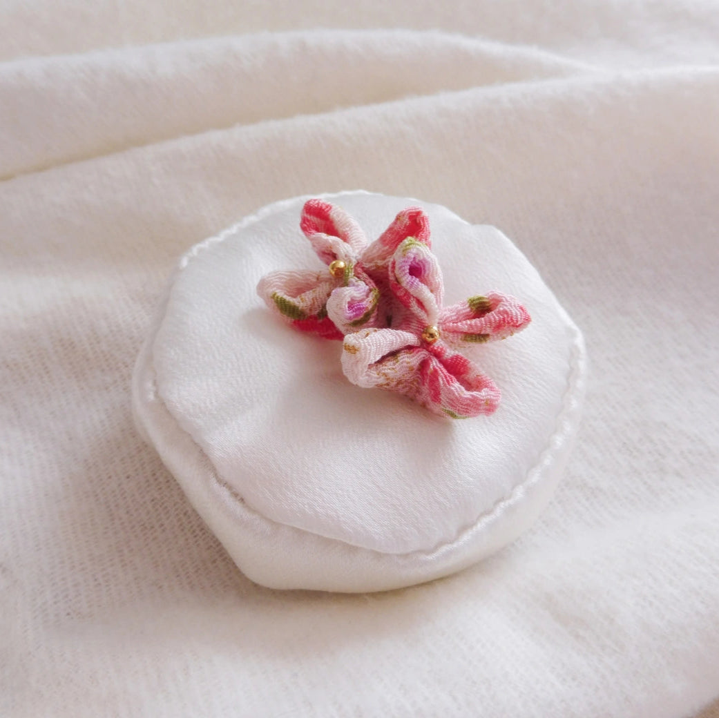 Duo de fleurs roses