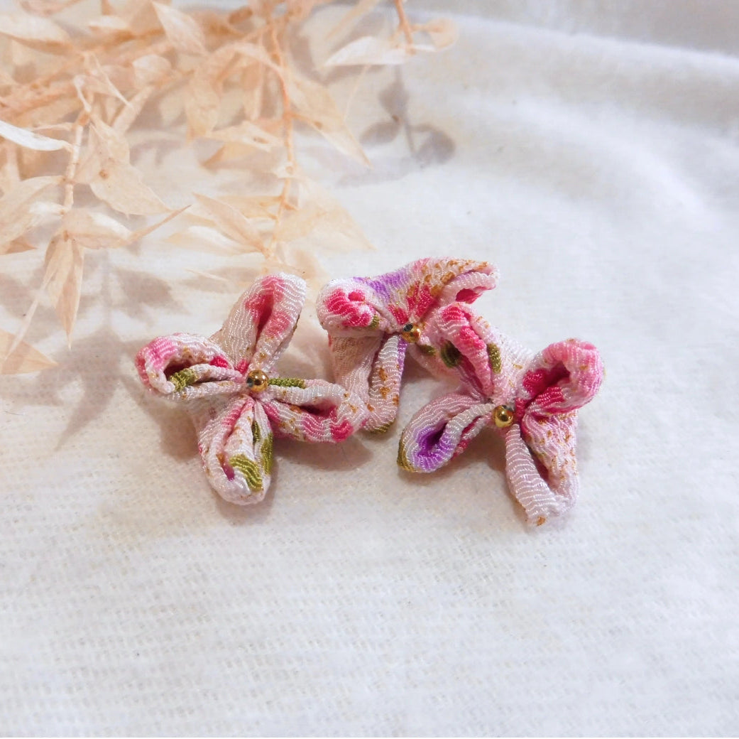Duo de fleurs roses